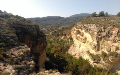 Excursión Arboleja y Castillo de Aledo