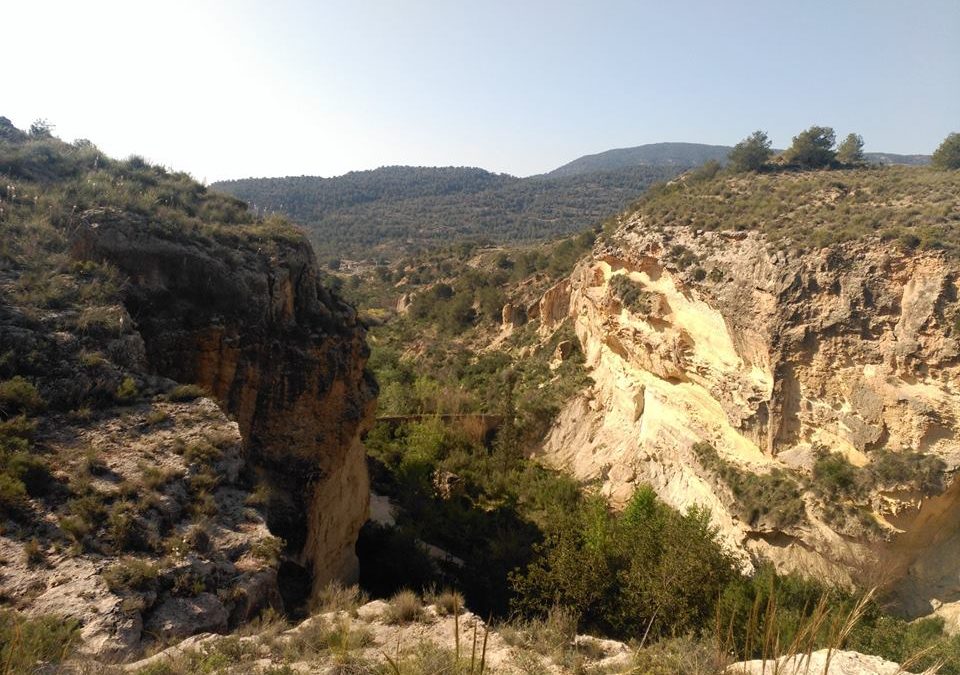 Excursión Arboleja y Castillo de Aledo