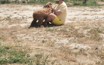 Visita al Centro Canino de Lorca