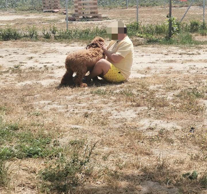 Visita al Centro Canino de Lorca